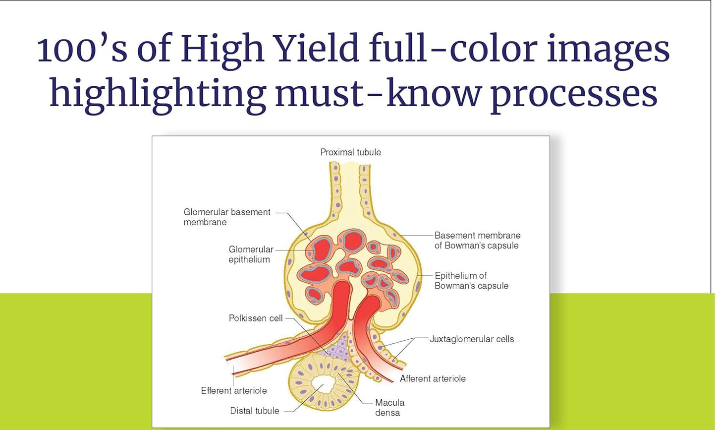 USMLE Step 1 Lecture Notes, Twelfth Edition (2025-2026): 7-Book Preclinical Review "KAPLAN"